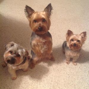 Meet your Posher, Sharon